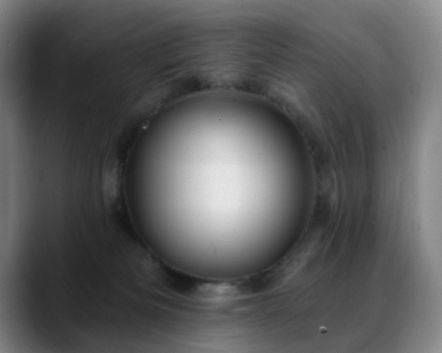 X0000088870133200706151800