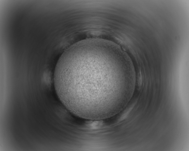X0000088870135200706151800