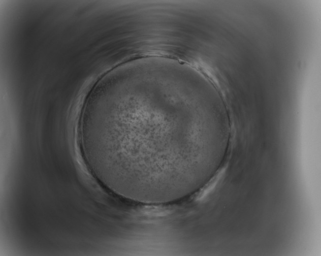 X0000088870145200706151759