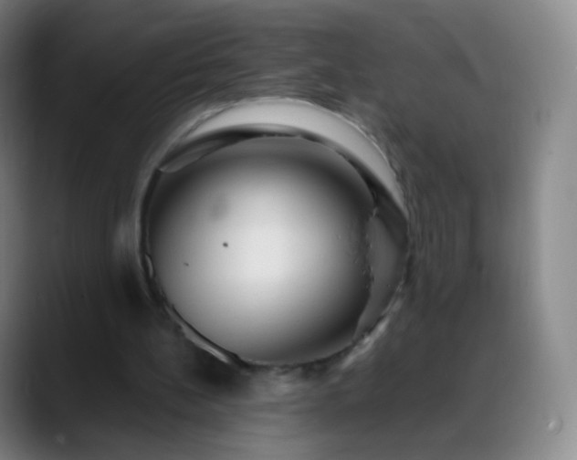 X0000088870148200706151759