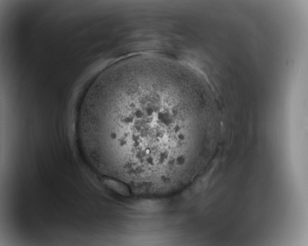 X0000088870149200706151759