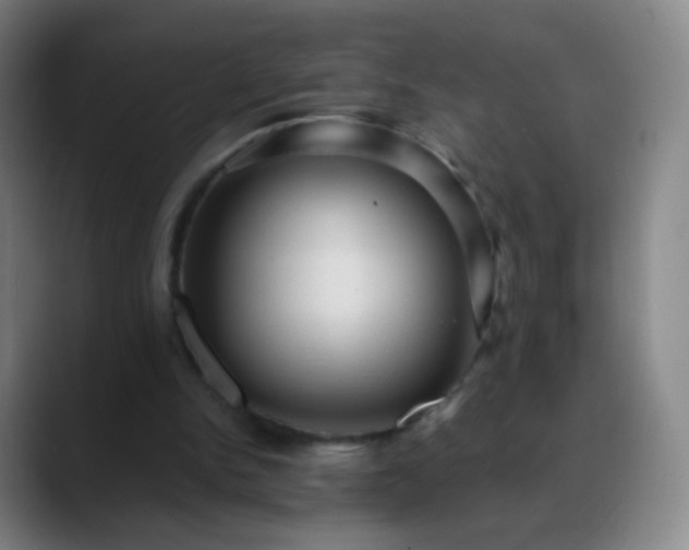 X0000088870150200706151759