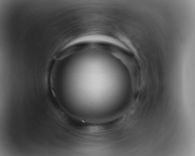 X0000088870154200706151800