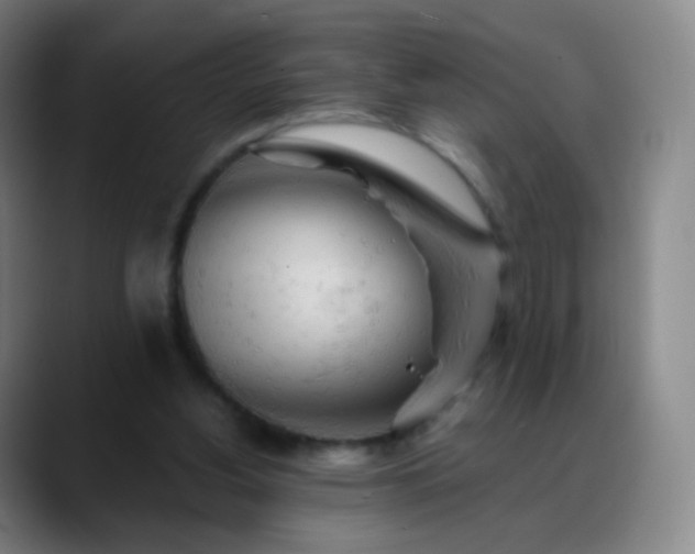 X0000088870156200706151800