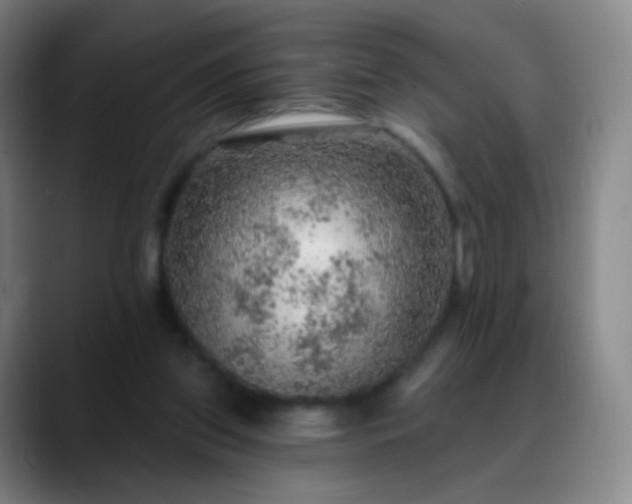 X0000088870157200706151800