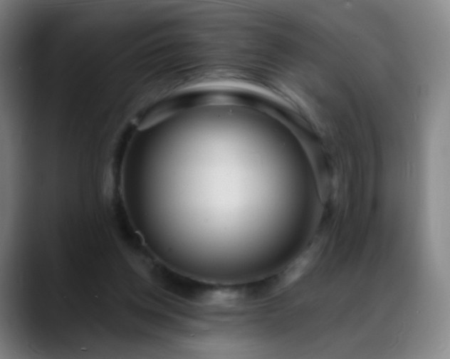 X0000088870158200706151800