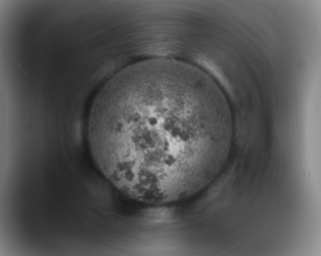 X0000088870161200706151800