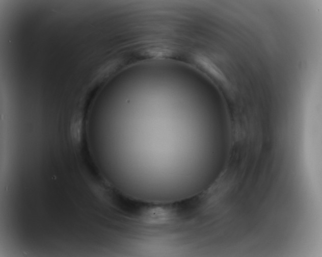 X0000088870163200706151800