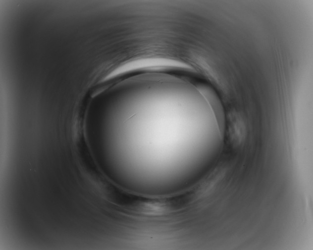 X0000088870164200706151800