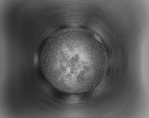 X0000088870166200706151800