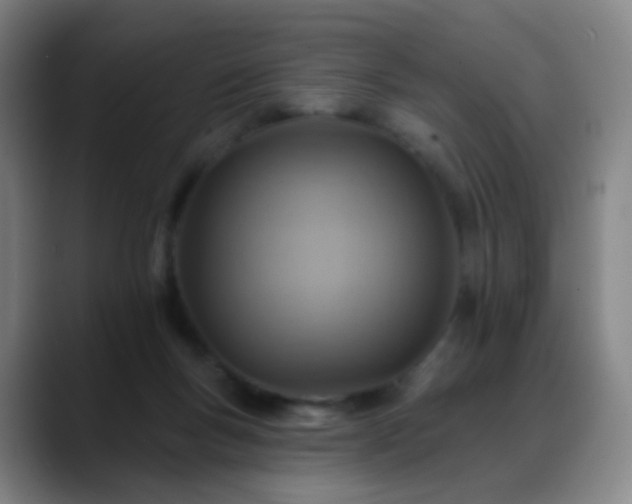 X0000088870167200706151800