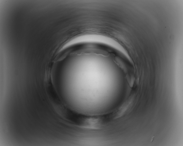 X0000088870168200706151800