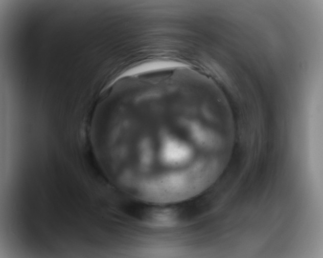 X0000088870169200706151800