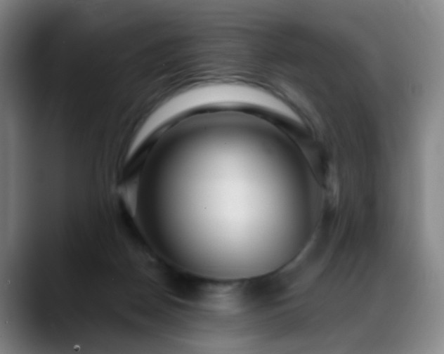 X0000088870170200706151800