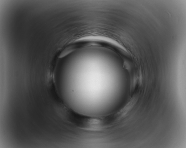 X0000088870176200706151800
