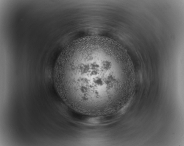 X0000088870178200706151800