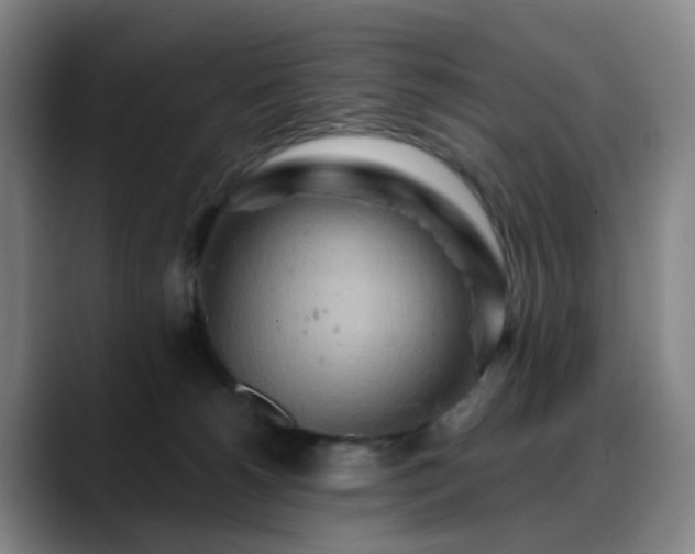 X0000088870180200706151800