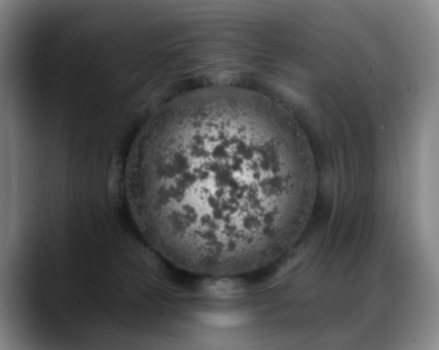 X0000088870181200706151800
