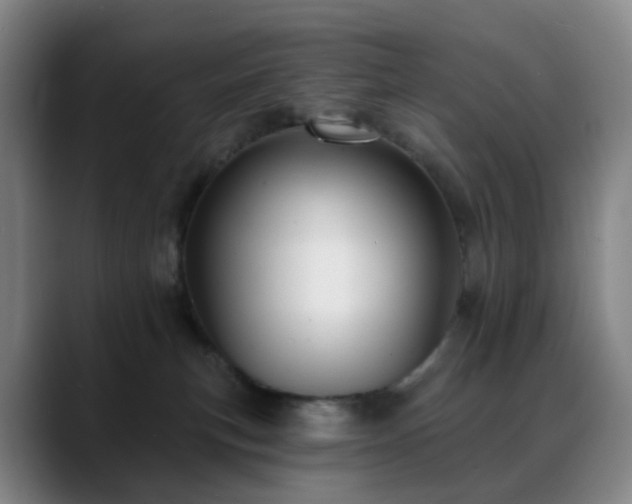 X0000088870183200706151800