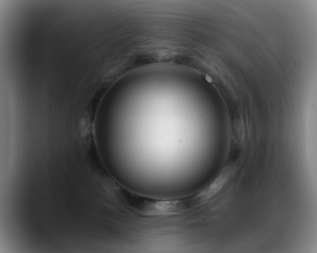 X0000088870184200706151800