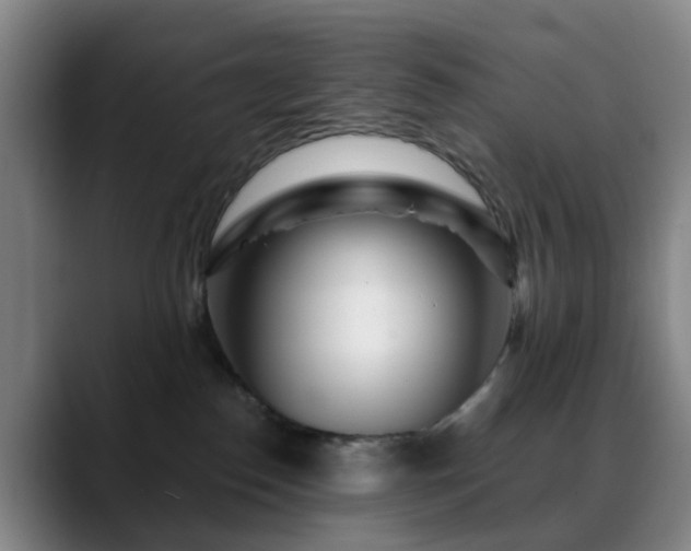 X0000088870186200706151800