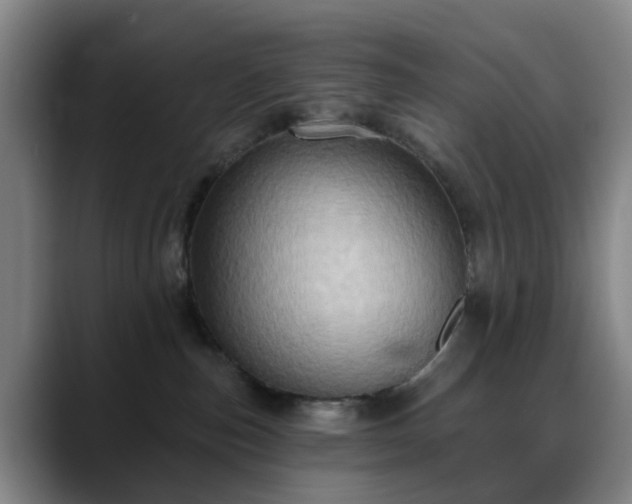 X0000088870187200706151800
