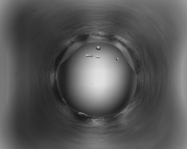 X0000088870188200706151800