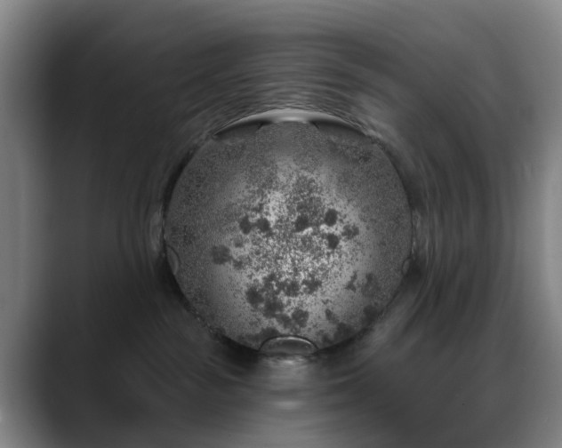 X0000088870189200706151800