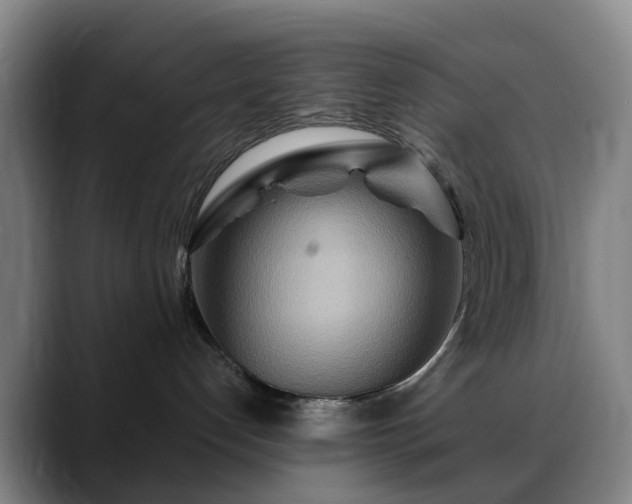 X0000088870192200706151800