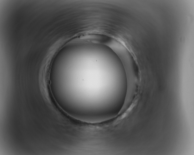 X0000088870193200706151759