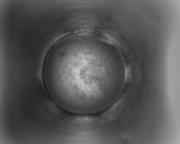 X0000088870195200706151759
