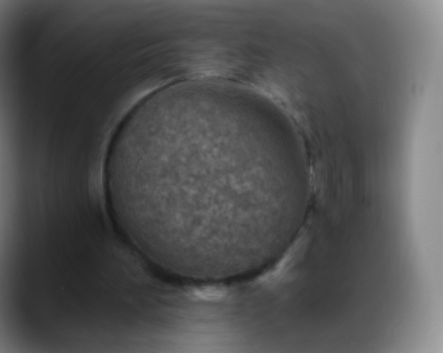 X0000088870196200706151759