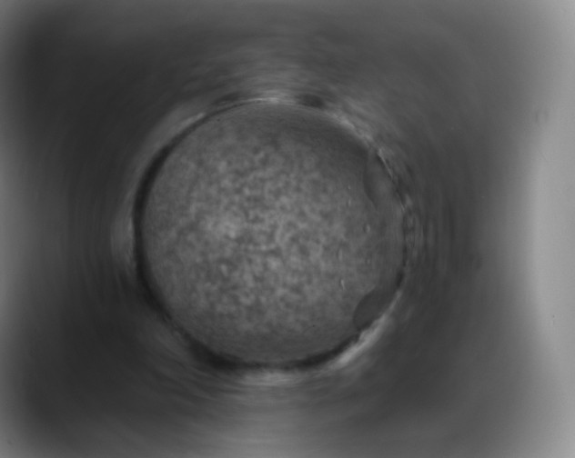 X0000088870198200706151759