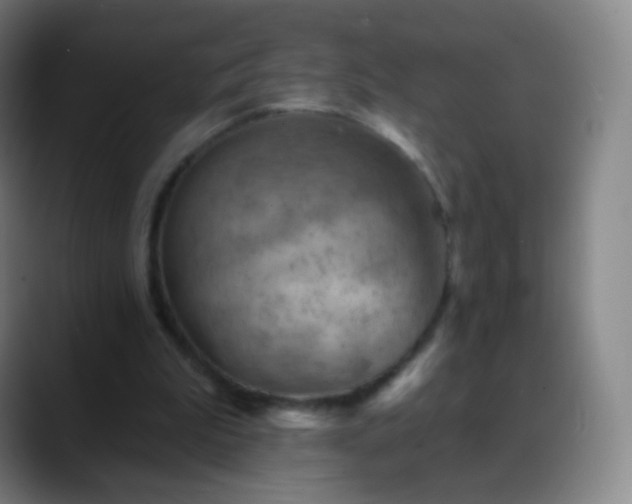 X0000088870199200706151759