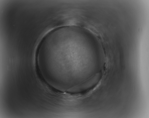 X0000088870200200706151759