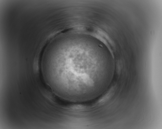 X0000088870203200706151759