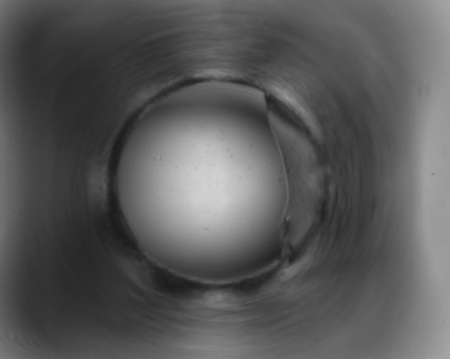 X0000088870204200706151759