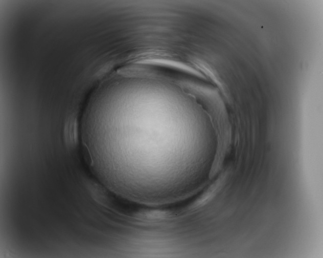 X0000088870205200706151759