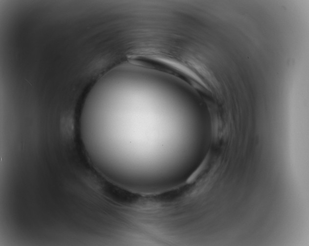 X0000088870207200706151759