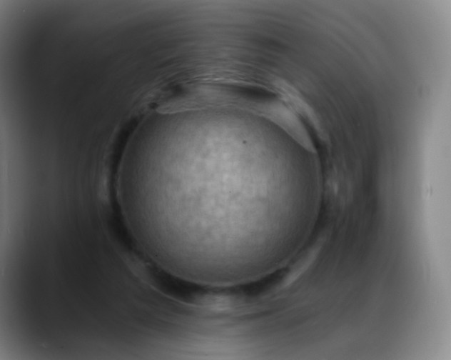 X0000088870209200706151759