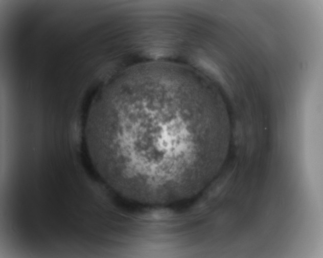 X0000088870210200706151759