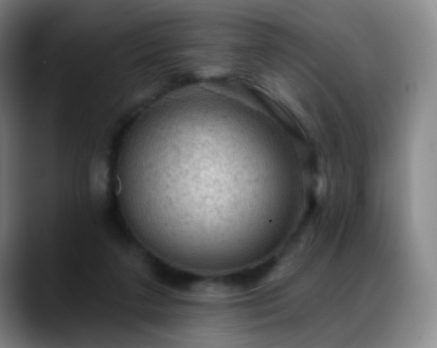X0000088870211200706151759