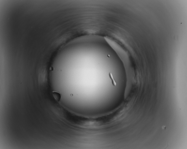 X0000088870212200706151759