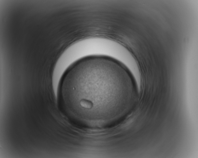 X0000088870215200706151759