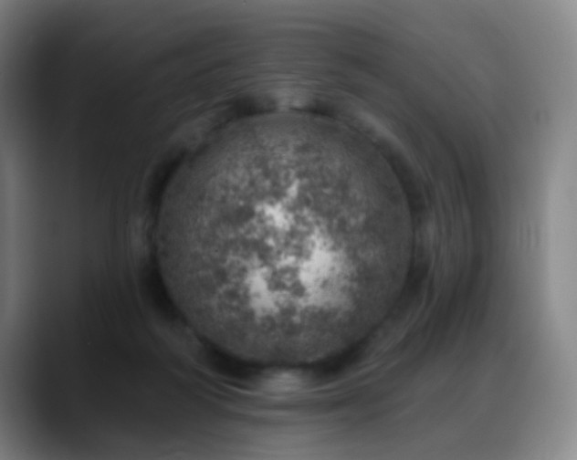 X0000088870218200706151759
