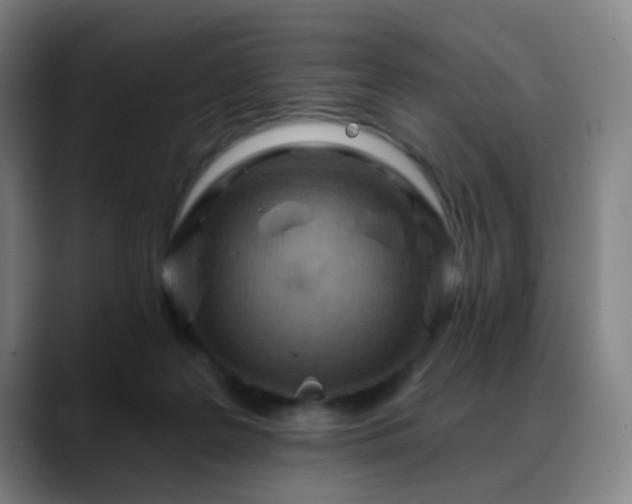 X0000088870219200706151759