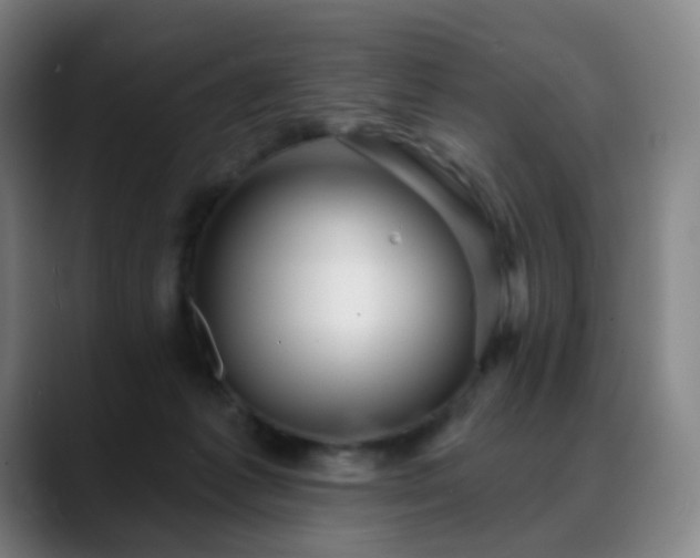 X0000088870221200706151759