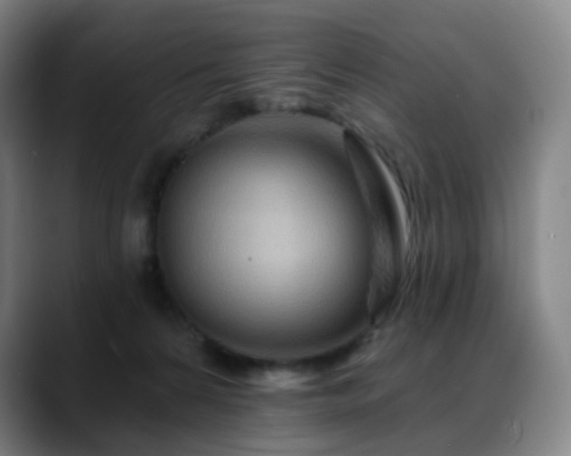 X0000088870224200706151759