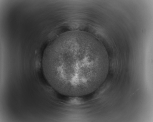 X0000088870226200706151759