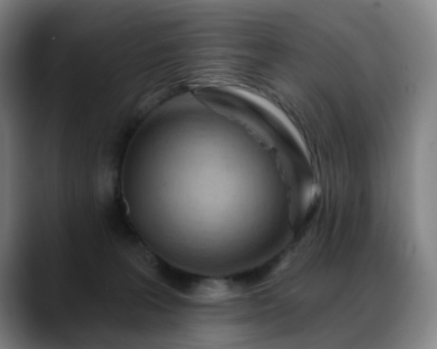 X0000088870227200706151759